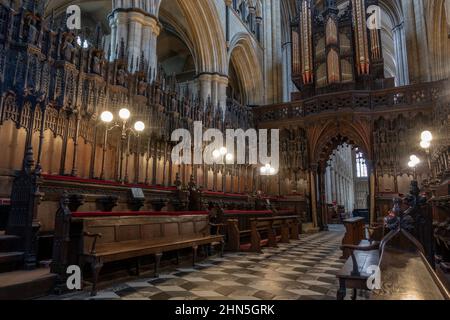 Le Quire contient 68 stands du début du 16th siècle, chacun avec un siège (misericord Beverley Minster à Beverley, East Riding of Yorkshire, Royaume-Uni. Banque D'Images