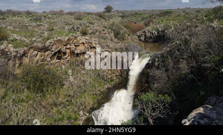 Vue sur la cascade de Zavitan, dans la réserve naturelle de la forêt de Yehudiya, les hauteurs du Golan, dans le nord d'Israël Banque D'Images