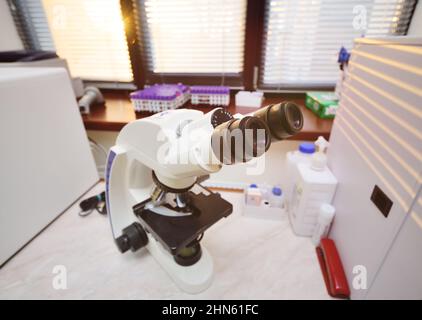 Un infirmier ou scientifique examine les bactéries dans un microscope Banque D'Images