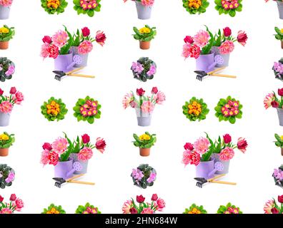 Large motif sans couture violettes et tulipes brillantes isolées sur fond blanc. Banque D'Images