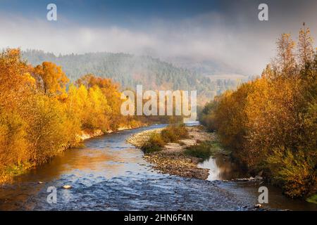 Paysage d'automne avec une rivière dans le matin brumeux, Slovaquie, Europe. Banque D'Images