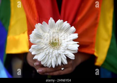 Un étudiant de la communauté LGBTIQ de l'Université Jadavpur tient une fleur blanche alors qu'il est couvert d'un drapeau arc-en-ciel, pour se joindre à un rassemblement pour exiger les droits des LGBTIQ et mettre fin à la violence contre eux, à l'occasion de la Saint-Valentin. Le 14 février 2022 à Kolkata, en Inde. (Photo de Sukhomoy  Sen/ Eyepix Group) Banque D'Images