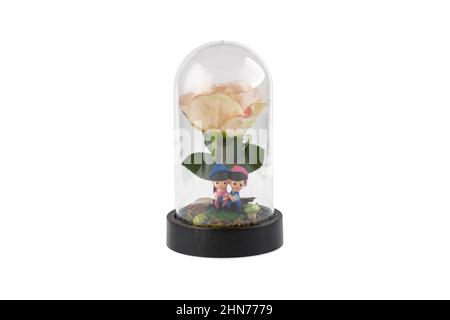 Terrarium en verre. Grand terrarium isolé sur fond blanc. Plantes succulentes dans des vases de florarium en verre, espace de copie. Maison mini jardin concept. Banque D'Images