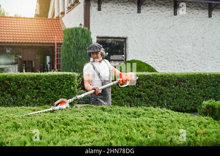 Travailleur caucasien en uniforme, gants et masque de sécurité coupant des bagues surcultivées avec un coupe-haie à essence. Jardinier compétent prenant soin des plantes de jardin arrière. Banque D'Images