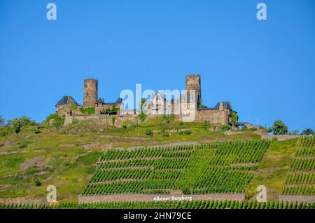 Le château de Thurant à Hunsrück sur la montagne du château d'Alkener qui est planté de raisins au ciel bleu Banque D'Images