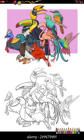 Dessin animé illustration de la page de livre de coloriage de groupe de personnages de bande dessinée d'animaux d'oiseaux Illustration de Vecteur