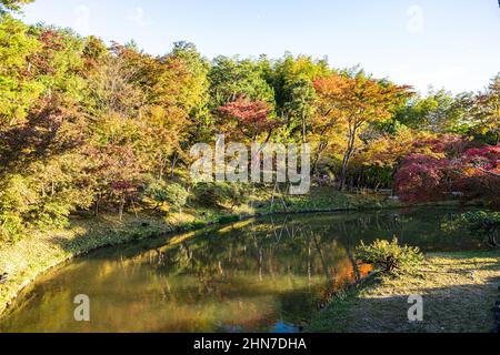 Couleurs d'automne autour de l'étang au temple Kodaji à Kyoto Japon dans la lumière tôt le matin. Banque D'Images