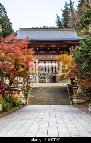 Un chemin bordé de lanternes avec des escaliers menant au temple Kurama-dere au nord de Kyoto, au Japon, le matin de l'automne. Banque D'Images