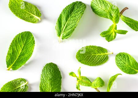 Ensemble de feuilles de menthe poivrée verte isolées sur fond blanc.Menthe aromatique fraîche pour cuisiner des aliments et des boissons Banque D'Images