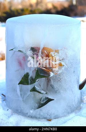 Fleurs congelées à l'intérieur de la glace Banque D'Images