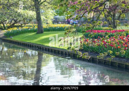 LISSE, PAYS-BAS - 22 avril 2017 : lac entouré de fleurs et d'arbres en fleurs dans le parc royal de Keukenhof pendant le printemps. Mise au point sélective. Banque D'Images