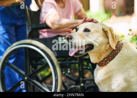 HES ne se contente pas de ma meilleure amie. Photo d'une résidente, de son chien et d'une infirmière à l'extérieur dans le jardin de la maison de retraite. Banque D'Images