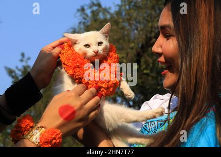 Dhaka, Bangladesh. 14th févr. 2022. Une dame tient son animal de compagnie à l'Université de Dhaka au Bangladesh pour la Saint-Valentin. Crédit : SOPA Images Limited/Alamy Live News Banque D'Images