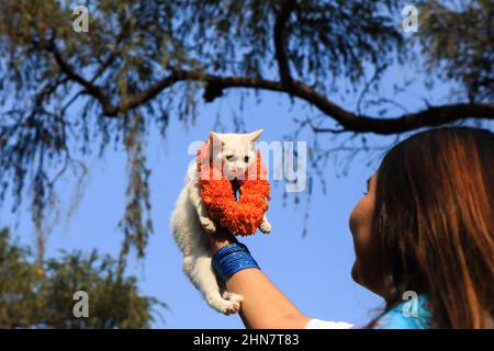 Dhaka, Bangladesh. 14th févr. 2022. Une dame tient son animal de compagnie à l'Université de Dhaka au Bangladesh pour la Saint-Valentin. Crédit : SOPA Images Limited/Alamy Live News Banque D'Images