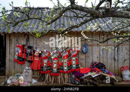 Costumes traditionnels de la minoritie ethnique se préparant au printemps et au nouvel an dans la vallée de la prune Na Ka MOC Chau, province de son la, Vietnam Banque D'Images