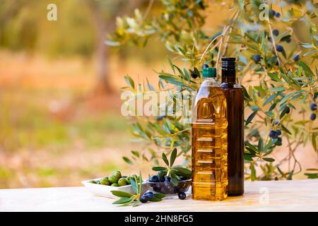 Huile d'olive en bouteille sur la table de jardin Banque D'Images