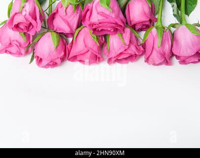 Bouquet de roses roses sur fond blanc Banque D'Images