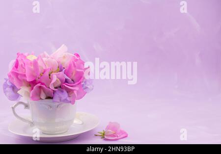 photo de belles fleurs de pois doux Banque D'Images