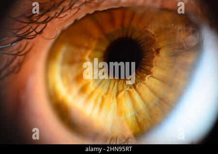 Photo macro de l'œil humain. Gros plan à l'œil humain avec faible profondeur de champ. Banque D'Images