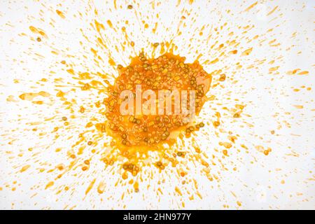 Soupe de légumes éclaboussé dans un désordre qui ressemble à du vomi, isolé sur un fond blanc Banque D'Images