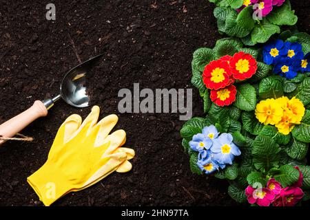 Arrière-plan de jardinage. Les objets associés à la plantation de printemps sur le sol du jardin de gazon. Banque D'Images