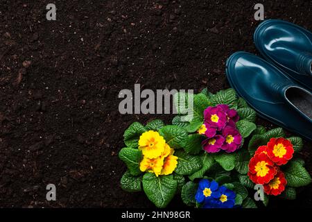 Arrière-plan de jardinage. Les objets associés à la plantation de printemps sur le sol du jardin de gazon. Banque D'Images