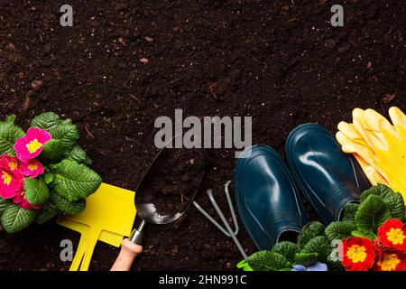 Arrière-plan de jardinage. Les objets associés à la plantation de printemps sur le sol du jardin de gazon. Banque D'Images