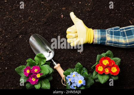 Arrière-plan de jardinage. Les objets associés à la plantation de printemps sur le sol du jardin de gazon. Banque D'Images