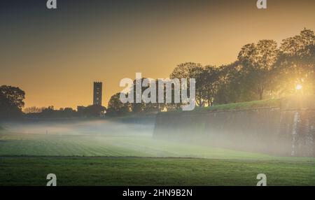 Les murs et les arbres de la ville médiévale de Lucques. Lever de soleil brumeux en automne. Toscane, Italie, Europe. Banque D'Images