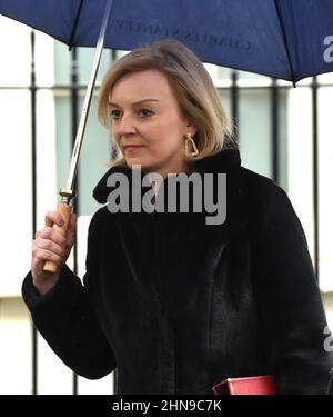 Londres, Royaume-Uni. 15th févr. 2022. Liz Truss Secrétaire des affaires étrangères arrive à Downing Street pour une réunion Cobra crédit: MARTIN DALTON/Alay Live News Banque D'Images