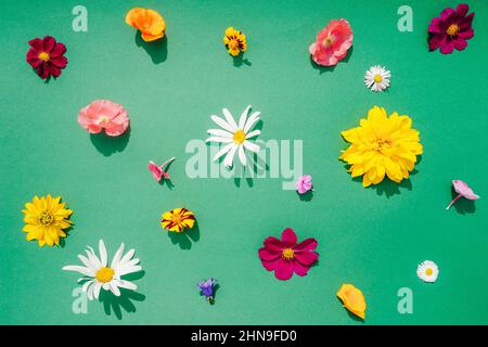 Composition des fleurs sur fond vert. Flat lay, vue de dessus. Motif de différentes fleurs. Banque D'Images