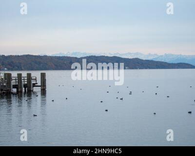 Vue sur l'Ammersee jusqu'aux montagnes blanches des Alpes. Sur la droite, une jetée en bois et quelques canards et oiseaux sur l'eau du lac Banque D'Images