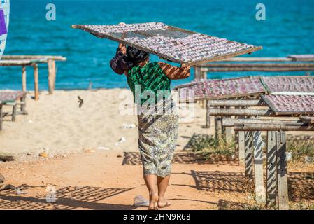 La femme prend des prises de calmar pour sécher au soleil à Pak Nam Pran au sud de Hua Hin dans la province de Prachuap Khiri Khan en Thaïlande Banque D'Images