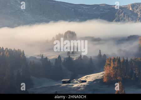 Deux huttes alpines sur une colline du plateau de Seiser Alm couvertes de brume matinale et des premières gelées Banque D'Images