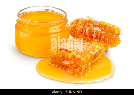 Nid d'abeilles et flaque de miel isolée sur fond blanc avec passe-cheveux et profondeur de champ totale Banque D'Images