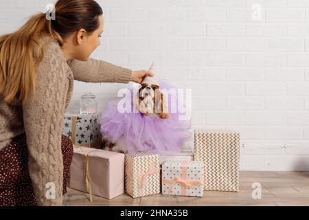 Adorable femme à poil long et poil brun, vêtue d'un pull aux tons naturels, met un chapeau de fête sur la tête de son cavalier King Charles, vêtu de lilas Banque D'Images