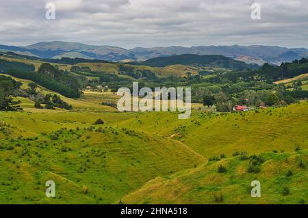 Les collines verdoyantes avec des prairies et des arbres de la ferme de moutons Battle Hill Farm, Pauatahanui, Porirua, Grand Wellington, Île du Nord, Nouvelle-Zélande. Banque D'Images