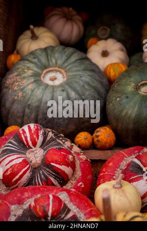 photo de l'exposition de citrouilles et de légumes Banque D'Images