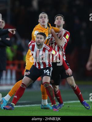 Sheffield, Angleterre, le 15th février 2022. Tom Eaves, de Hull City, est défié par Oliver Norwood et Chris Basham, de Sheffield Utd, lors du match du championnat Sky Bet à Bramall Lane, Sheffield. Le crédit photo devrait se lire: Simon Bellis / Sportimage Banque D'Images