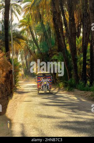 Les pousse-pousse automatiques, également connus sous le nom de toktok en Égypte, sont un mode de transport commun pour les courtes distances dans les villes et les zones rurales de l'Égypte Banque D'Images