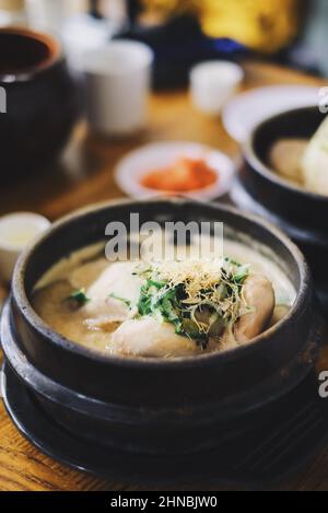 Service de soupe de poulet au samgye-tang ou au ginseng coréen Banque D'Images