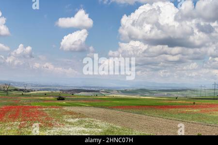 Un ciel bleu sans fin avec des nuages blancs moelleux qui jettent une ombre sur le sol. Paysage rural avec champs et prairies fleuries et une chaîne de montagnes Banque D'Images