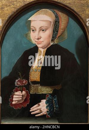 Bartholomäus Bruyn l'aîné (1493-1555). Portrait d'une femme. CA. 1538-1539. Huile sur le panneau. 34,9 x 25,5 cm. Barthel Bruyn était un p de la Renaissance allemande Banque D'Images