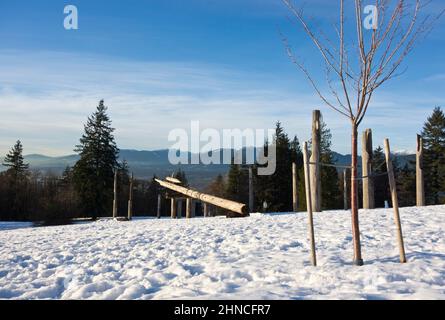 En janvier 2022, la neige couvrait le parc de Burnaby Mountain avec des sculptures d'Ainu. Vue sur les arbres et les montagnes. Burnaby, Colombie-Britannique, Canada. Banque D'Images