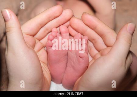 Les jambes d'un bébé de deux semaines sont entre les mains d'une mère. Les paumes d'une femme et les pieds d'un enfant, l'amour et le soin des parents. Banque D'Images