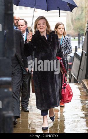 © sous licence de London News Pictures. 15/02/2022. Londres, Royaume-Uni. Le secrétaire aux Affaires étrangères Liz Truss marche avec un parapluie jusqu'au numéro 10 Downing Street pour un emer Banque D'Images