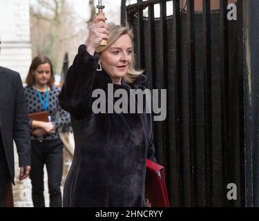 © sous licence de London News Pictures. 15/02/2022. Londres, Royaume-Uni. Le secrétaire aux Affaires étrangères Liz Truss marche avec un parapluie jusqu'au numéro 10 Downing Street pour un emer Banque D'Images