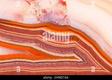 Motifs de bandes et détails structurels dans un Laguna agate tranché et poli du Mexique. Banque D'Images