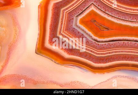 Motifs et structure de bandes dans une Laguna agate trancée et polie du Mexique. Banque D'Images