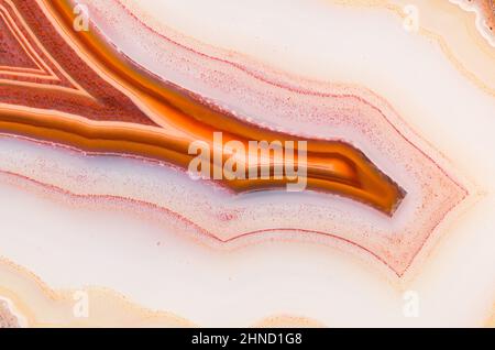 Motifs de bandes et détails structurels dans un Laguna agate tranché et poli du Mexique. Banque D'Images
